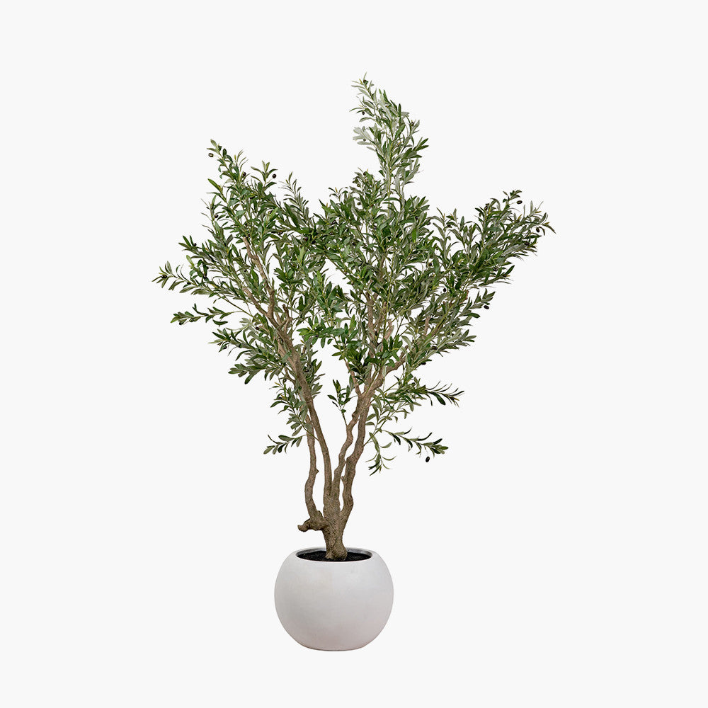 Artificial Olive Tree in White Pot | Extra Large